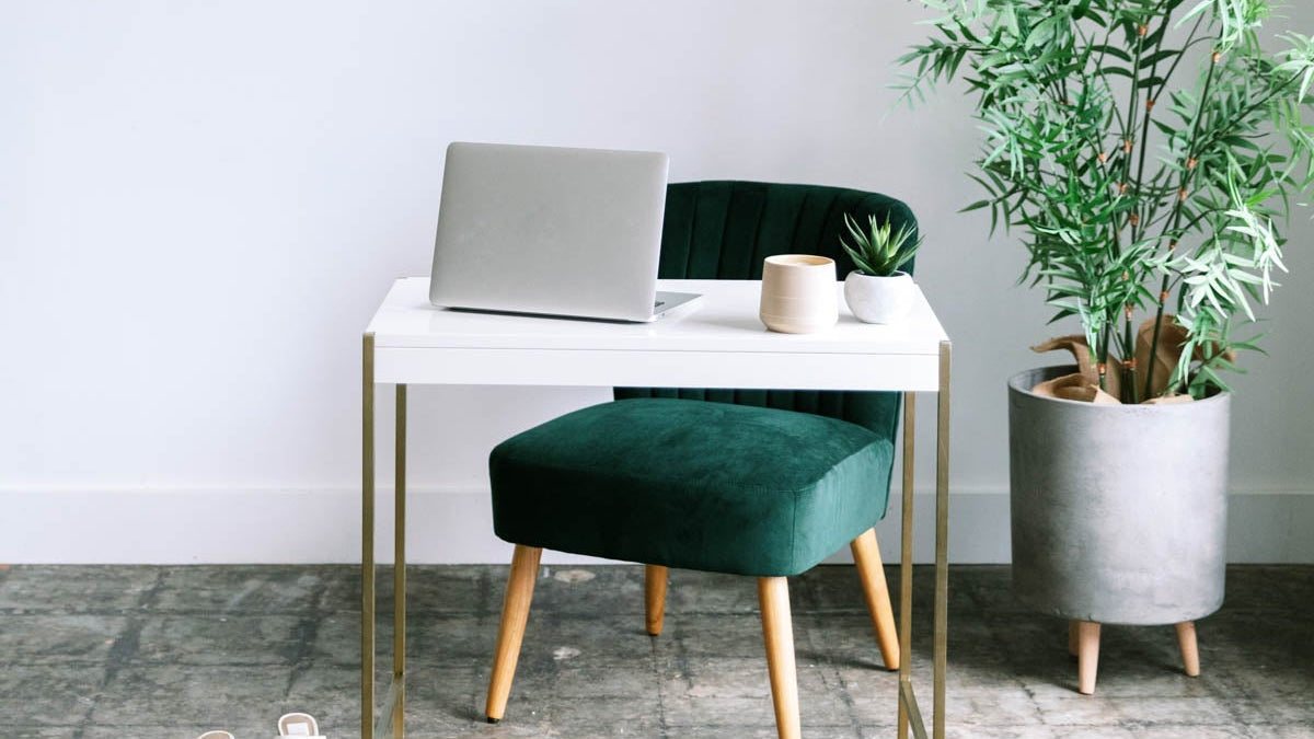 Modern home office with a desk, chair, and plant against a white wall. Owners Society